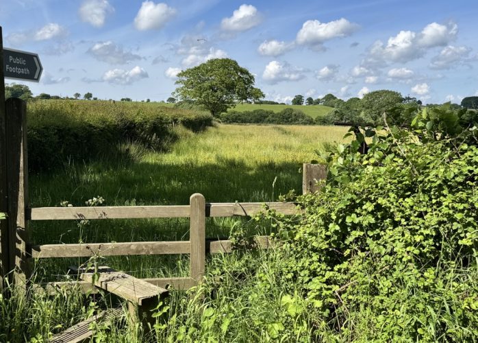 Public foot path stile, Highampton, Devon