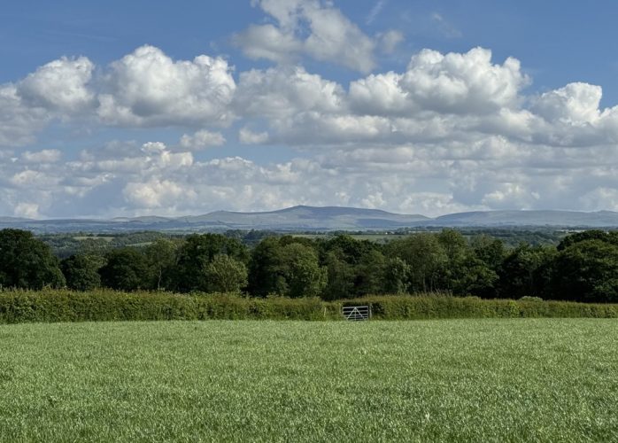 Views towards Dartmoor, Highampton, Devon