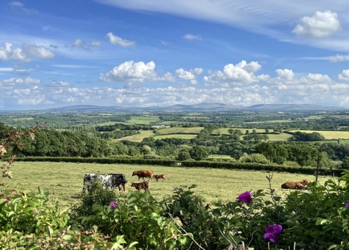 View to Dartmoor from Highampton Village Hall